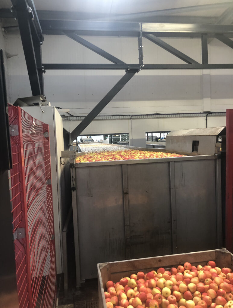 Processing & Manufacturing